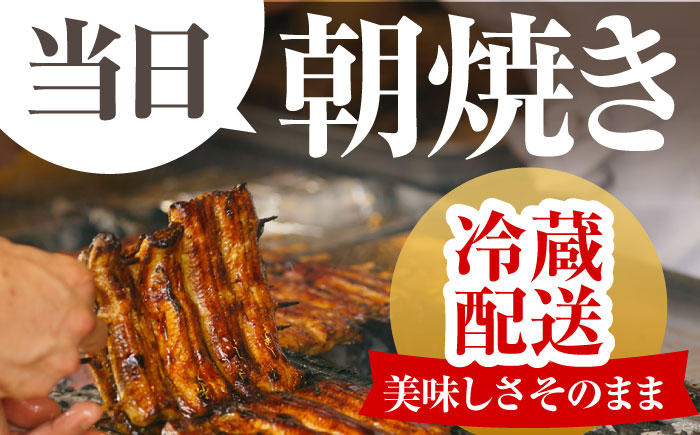 【6回定期便】高知県産 朝焼きうなぎ蒲焼 4尾セット 【株式会社 四国健商】 [ATAF090]