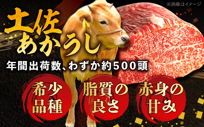 土佐あかうしカレー（パウチ） 2食セット/レトルト カレー あか牛 土佐あかうし 牛肉 牛カレー 保存食 常備 人気 おすすめ 高知市  5000円以下 3000円【株式会社 四国健商】 [ATAF161]