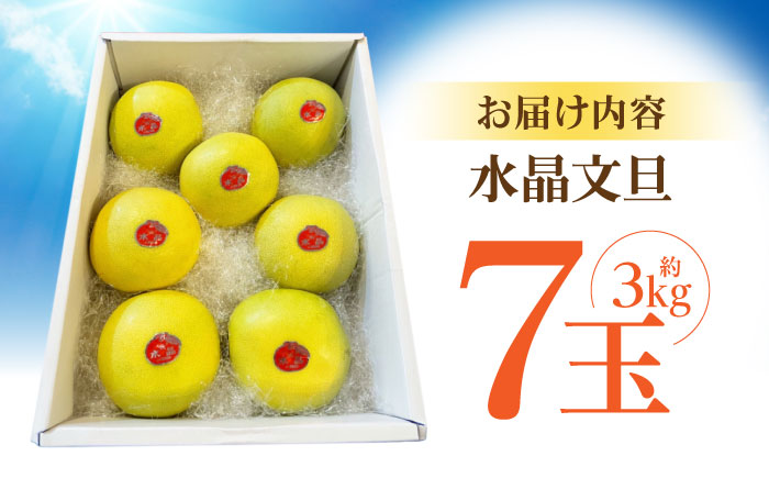 南国土佐の女王柑橘 水晶文旦 約3kg 7玉入り〈2025年9月中旬～2025年12月下旬頃発送〉/ 文旦 ぶんたん フルーツ 果物 3キロ 高知県 【フルーツショップオザキ】 [ATAH006]