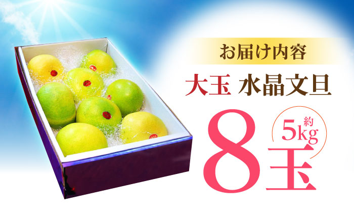 南国土佐の女王柑橘 水晶文旦 約5kg 8玉入り〈2025年9月中旬～2025年12月下旬頃発送〉/ 大玉サイズ 文旦 ぶんたん フルーツ 果物 5キロ 高知県 【フルーツショップオザキ】 [ATAH009]