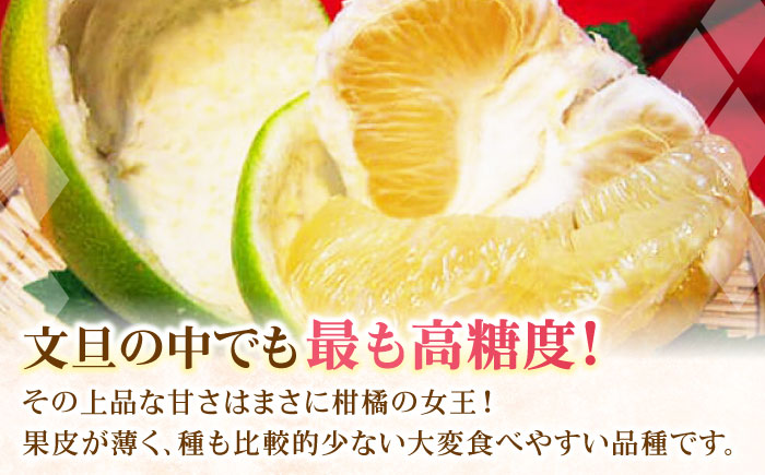 南国土佐の女王柑橘 水晶文旦 約5kg 7玉入り〈2025年9月中旬～2025年12月下旬頃発送〉/ 大玉サイズ ぶんたん 文旦 フルーツ 高知名物 果物 【フルーツショップオザキ】 [ATAH010]