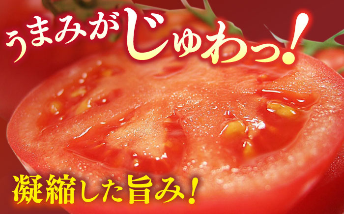 【先行予約】特選 徳谷トマト 約2kg 生産者52番 〈2026年1月中旬～2026年6月下旬頃発送〉/ トマト フルーツトマト 【フルーツショップオザキ】[ATAH014]