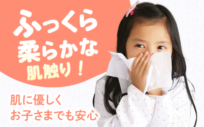 【2回定期便(3ヵ月に1回お届け)】 抗ウイルス 抗菌成分 (VB) 配合ふっくら柔らかペーパーハンドタオル エンボス仕上げ 30パック (1パック:120組(240枚)入り) 【河野製紙株式会社】[ATAJ016]