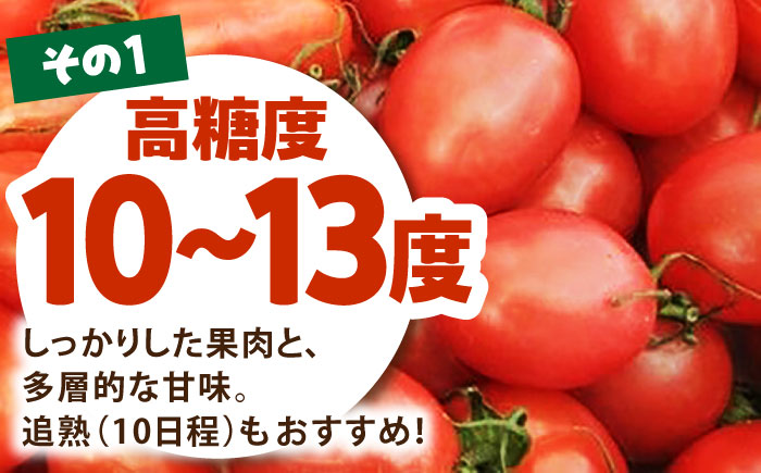 【先行予約】 徳谷はじまりトマトのミニトマト 約1kg ミックス〈2026年3月～発送〉 /ミニ プチ トマト 高糖度 高知トマト 【株式会社Dorago】 [ATAM051]