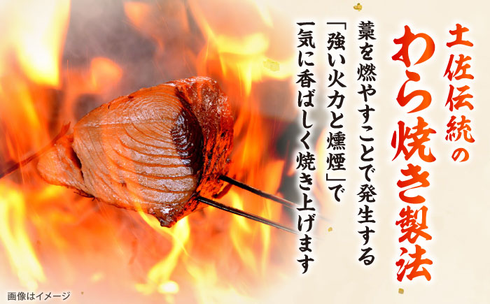 老舗魚問屋「大熊」の藁焼き鰹タタキ 2節（約700g） / 高知 魚 海鮮 刺身 鰹 かつお カツオ たたき タタキ 藁焼き 【株式会社Dorago】 [ATAM053]