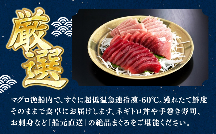 天然本鮪 大トロ 中トロ 赤身 セット（各約200g） / 高知 魚介 海鮮 鮮魚 魚 マグロ まぐろ 鮪 本鮪 新鮮 天然 刺身 寿司 セット 【株式会社Dorago】 [ATAM055]