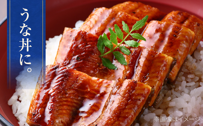 高知産 うなぎ 蒲焼き 3尾入（約250g×3尾） / 国産 うなぎ 鰻 ウナギ 蒲焼 味付き 【池澤本店】 [ATAU007]