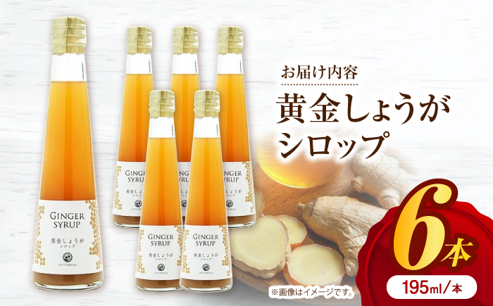 黄金しょうがシロップ6本/ 土佐生姜 ほっこりジンジャー【はるのTERRACE】 [ATAV008]