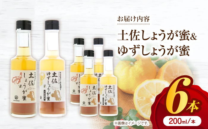 土佐しょうが蜜・ゆずしょうが蜜6本セット/ 土佐生姜 ほっこりジンジャー【はるのTERRACE】 [ATAV011]