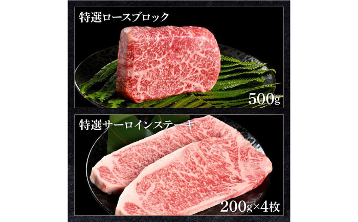 熟成肉 土佐和牛 詰め合わせ8種Bセット 【株式会社LATERAL】 [ATAY081]