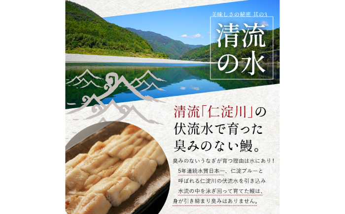 完全無投薬 仁淀川の伏流水で育てた贅沢うなぎ蒲焼き 中 (約150g×5尾 ) ギフトセット 池澤鮮魚 【池澤鮮魚オンラインショップ】 [ATBE020]