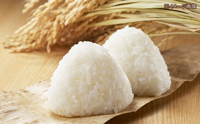 令和7年産 新米 無洗米高知県産 ミルキークィーン 約2kg×6袋 【高知食糧株式会社】 [ATBL001]