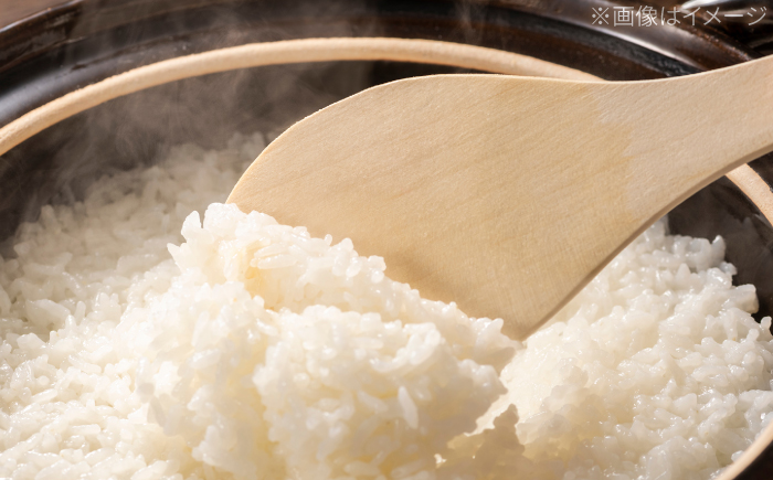 R7年度産 無洗米 地産地消米 約5kg×2 合計約10kg  /高知県 高知市 無洗米 精米 お米 白米 ブレンド米 【高知食糧株式会社】 [ATBL003]