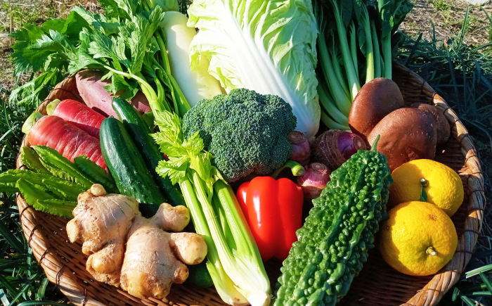 【12回定期便】高知県産 土佐季節の野菜詰め合せセット/毎月 野菜 定期 お野菜 高知 やさい 季節もの【香稜苑】 [ATBQ012]