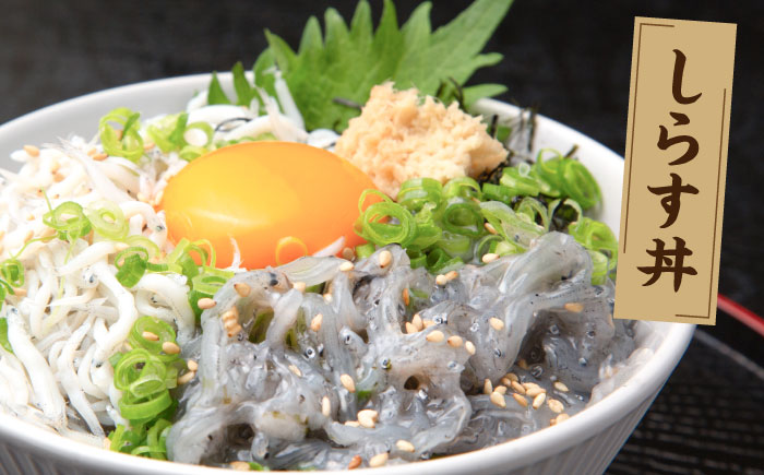 高知産「生シラス」イワシ稚魚約100g×5パック入り (タレ付)【興洋フリーズ株式会社】 [ATBX003]