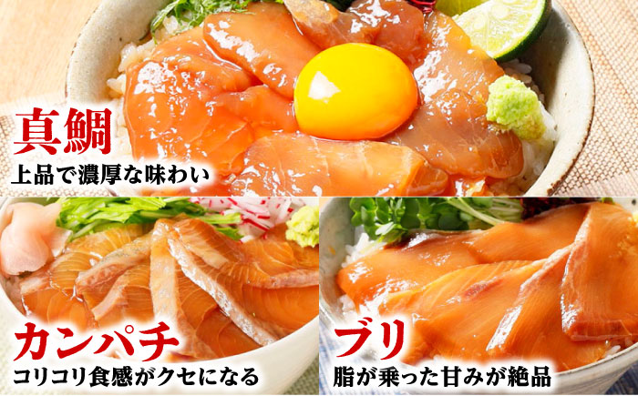 漬け丼の素3種 食べ比べセット (約80g×各種1パック) 【興洋フリーズ株式会社】 [ATBX034]