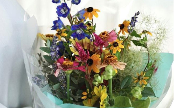 季節のおすすめ生花花束 ブーケM 1束 / らんまん 花 植物 お花 アレンジメント 高知 人気 おすすめ 送料無料【株式会社tomoni】 [ATCG021]