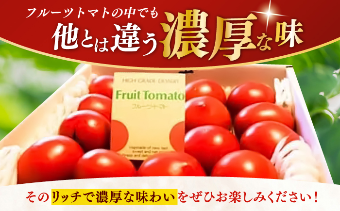 【先行予約】高知県高知市産 贅沢フルーツトマト 約2kg 〈2026年2月から発送〉 【片山農園】[ATCI001]
