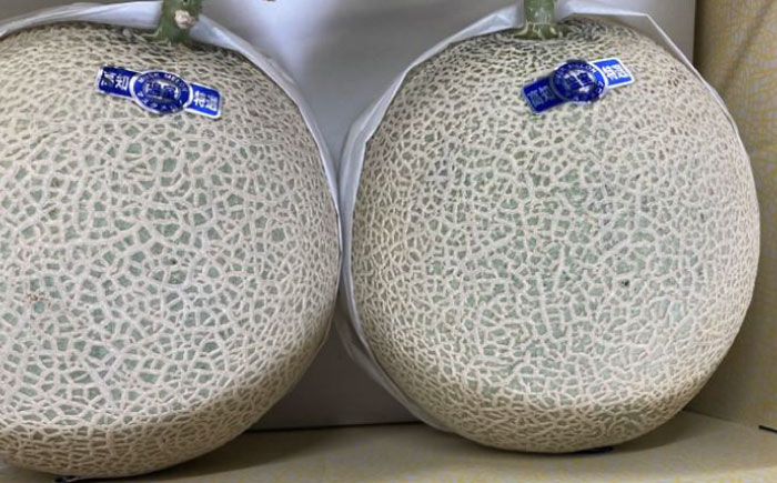 【先行予約】 高知市 春野町産 マスクメロン 2玉 (約2.8kg～約3.4kg 箱重量込み) 〈2026年9月10日～2026年9月15日発送〉 【片山農園】 [ATCI002]