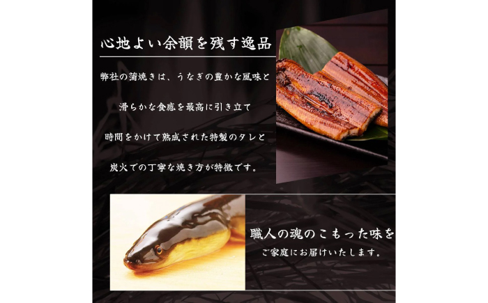 高知県産 うなぎ 長蒲焼1尾 約160g×1 (1～2人前)/ 鰻 ウナギ 土用丑の日 高知産 うなぎ 【土佐黒潮水産】 [ATCQ011]