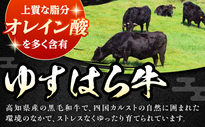 高知 ゆすはら牛ロース すきやき 約800g(約400g×2パック) / 高知 お肉 牛肉 牛 ロース すきやき 贈答 ギフト 贅沢 【焼肉寛十郎】 [ATDO009]