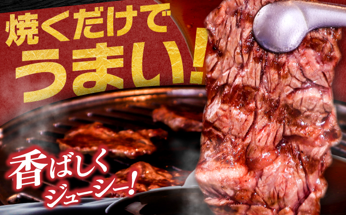 タレ漬け 牛ハラミ 約250g×2パック 計約500g 【焼肉寛十郎】 小分け 個包装 味付け タレ たれ 高知県 お肉 牛肉 贅沢 焼き肉 BBQ バーベキュー 訳あり わけあり ワケアリ はらみ [ATDO013]
