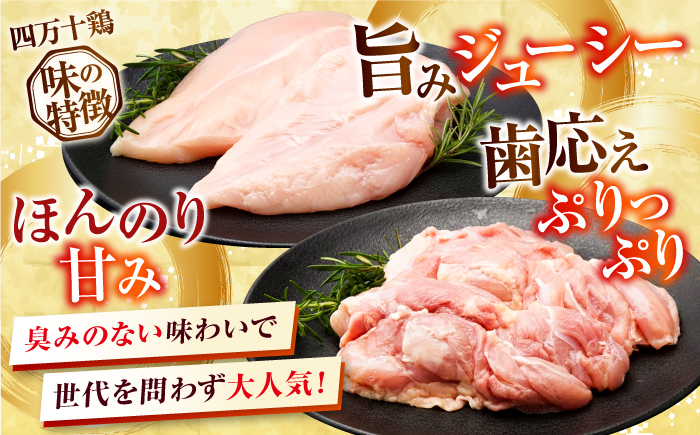 【3回定期便】四万十鶏 おいしいとこ鶏 セット (もも肉 むね肉  計約1.2kg)/ 四万十鶏 もも肉 むね肉 冷凍【三栄ブロイラー販売株式会社】 [ATDP010]