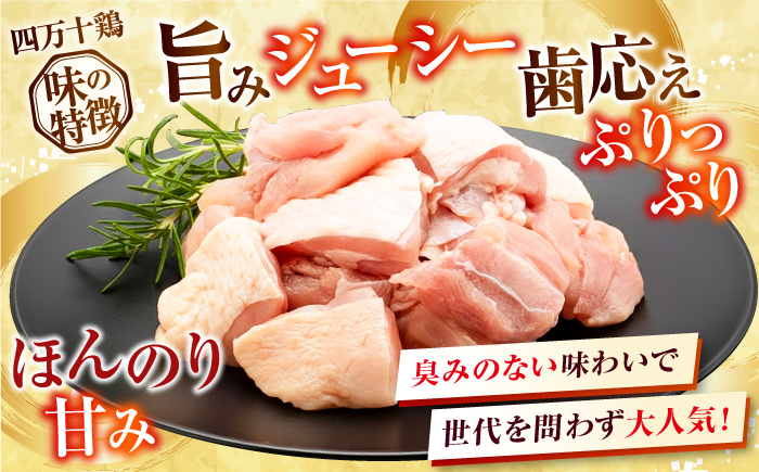 【3回定期便】四万十鶏もも肉 切身 約2.4kg （約300g×8パック） カットでかんたん 時短セット / 四万十鶏 もも肉 小分け 冷凍 カット 時短 【三栄ブロイラー販売株式会社】 [ATDP013]