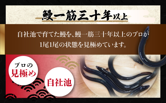 高知焼き鰻蒲焼3尾 / 蒲焼き かば焼き たれ タレ うなぎ ウナギ 鰻 小分け 個包装 パック 冷凍 冷凍食品 国産 おかず 簡単調理 調理済 時短 オーブントースター 魚焼きグリル 【鰻HASHIMOTO】 [ATDX006]