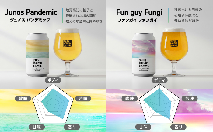 金賞受賞クラフトビール (350ml缶) 3種 飲み比べパック / ビール クラフトビール 麦酒 酒 飲み比べ セット 缶 ギフト 贈答用 プレゼント 【SOUTH HORIZON BREWING】 [ATEU002]