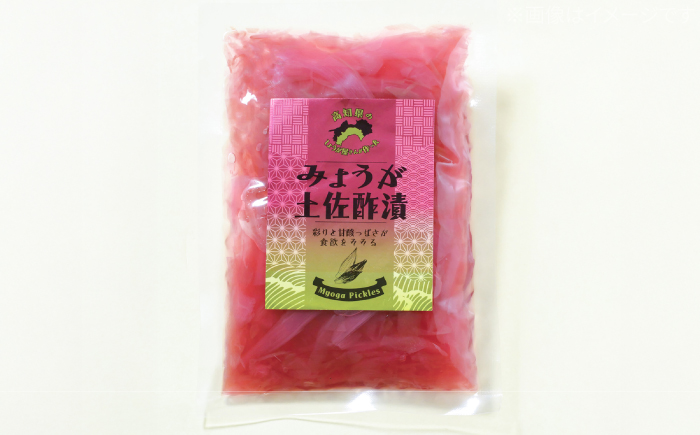 みょうが土佐酢漬け 約70g×10パック 【JapanGinger株式会社】 茗荷 ミョウガ 薬味 やくみ 漬物 ツケモノ シャキシャキ食感 適度な辛み [ATFD002]