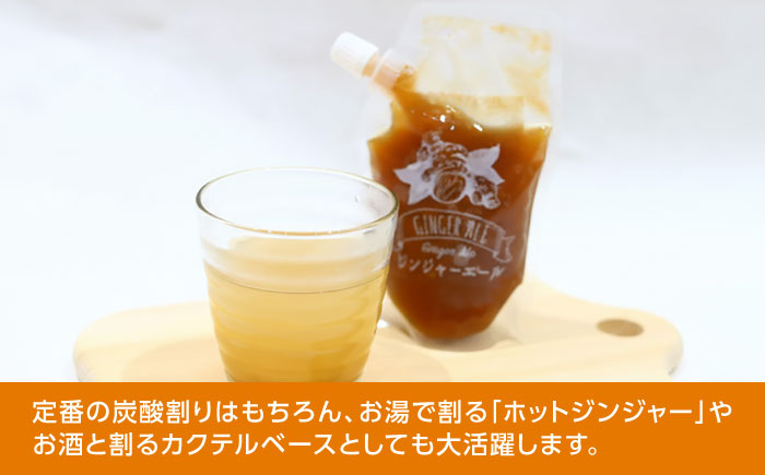 クラフトジンジャエールの素 約200ｇ×3パック / ジンジャーエール 素 シロップ ジンジャーシロップ 炭酸 炭酸割り ソーダ お湯割り ホットジンジャー アレンジ【Japan Ginger 株式会社】 [ATFD005]