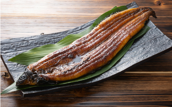 【6回定期便】極上国産うなぎ四万十桜 蒲焼き4尾 たっぷり大サイズ / 国産 高知 四万十 うなぎ ウナギ 鰻 蒲焼き うな重 惣菜 贅沢 【有限会社もりた】 [ATHE011]