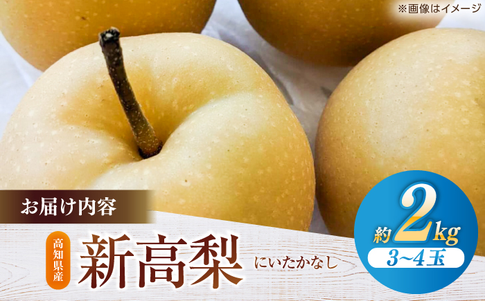 【先行予約】 新高梨 約2kg（3～4玉） 〈2026年9月20日～10月末発送〉 / 高知 針木 新高梨 梨 和梨 果物 フルーツ デザート 【川渕果樹園】 [ATHX001]