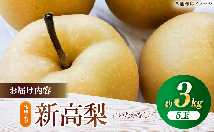 粛粲寶　額装【果物・フルーツ】(新潟県) NSG美術館では2021年1月16日（土）より「粛粲寶の