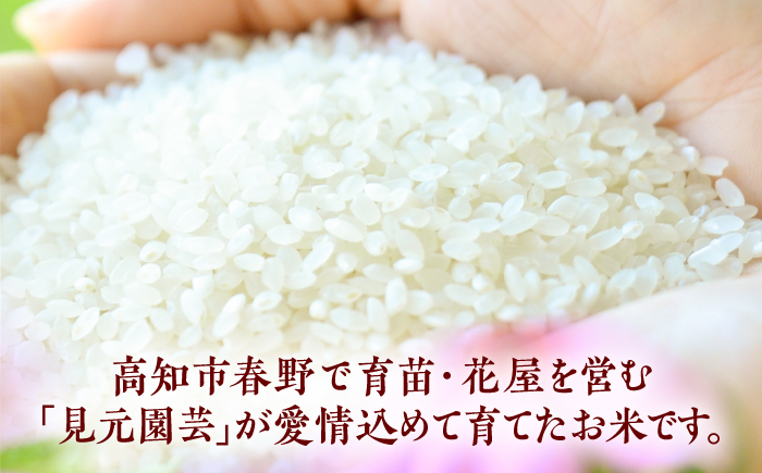 新米 R7年度産 花屋が作ったお米（約3kg）/ 米 お米 ご飯 白米 食品 炊飯 グルメ　【見元園芸】 [ATHY005]