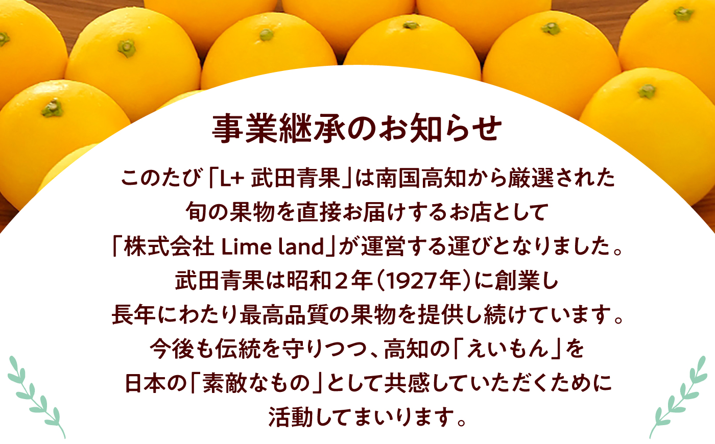 【先行予約】厳選・土佐小夏 約2.7kg（Mサイズ 約18個 または Sサイズ 約24個）〈2027年5月下旬頃～2027年8月上旬頃まで発送〉 / 小夏 土佐小夏 柑橘 果物 フルーツ デザート ビタミン 季節限定 期間限定 旬 初夏 高知 高知県 土佐 【L＋武田青果】[ATIT002]