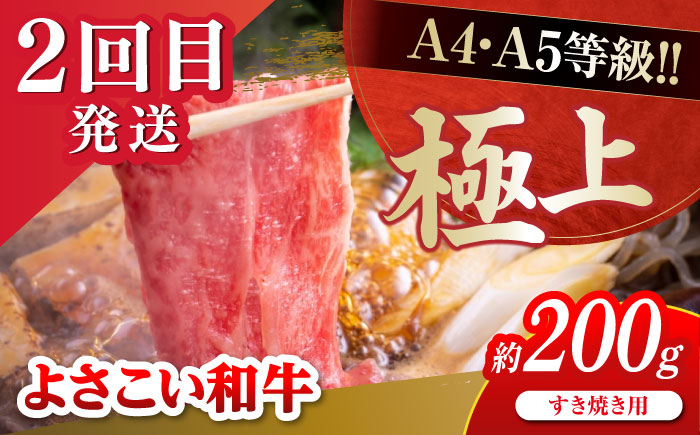 【4回定期便】高知のスタミナ定期便 /カツオ 食べ比べ 鰹のセット 鰹定期便 高知市 こだわりのかつお [ATZX022]