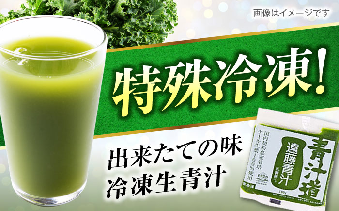 遠藤青汁 【生】 冷凍 1箱 (100g×28袋) / 健康 美容 乳酸菌 ケール ビタミン ミネラル 食物繊維 冷凍 青汁 遠藤青汁 新鮮 高知市 【グレイジア株式会社】 [ATAC001]