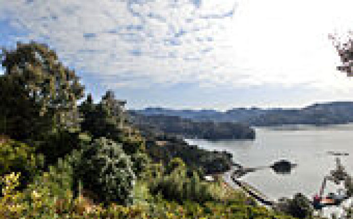 特選品立目ぽんかん（低しょう系）約5kg | L～２L 中物（ムジ）【グレイジア株式会社】 [ATAC331]