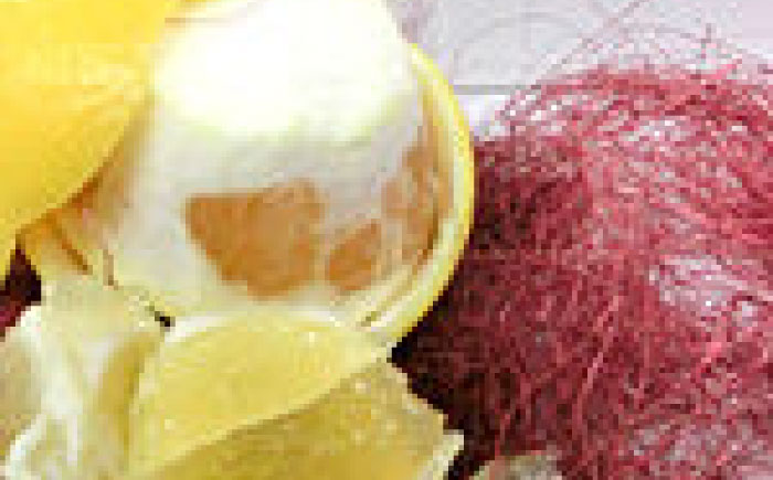 厳選上級品上物土佐小夏約5.0kg化粧箱Ｓ～Ｍサイズ/【グレイジア株式会社】 [ATAC337]