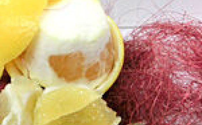 厳選上級品中物土佐小夏約5.0kgＳ～Ｍサイズ/【グレイジア株式会社】 [ATAC338]