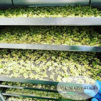 一食分の高知乾燥野菜ミックス 4箱セット 【グレイジア株式会社】 [ATAC525] 食品 乾物 加工食品 人気 おすすめ 5年保存 ALL SLOW FOOD 無添加 高知県産 保存食品 防災食 非常食 備蓄食 長期保存