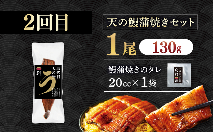 【3回定期便】人気！炭火焼き カツオとうなぎ 食べ比べ定期便　約2名分【株式会社土佐料理司】 [ATAD078]