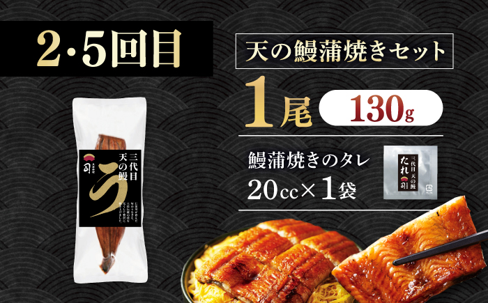 【6回定期便】人気！炭火焼き カツオとうなぎ 食べ比べ定期便　約2名分【株式会社土佐料理司】 [ATAD079]