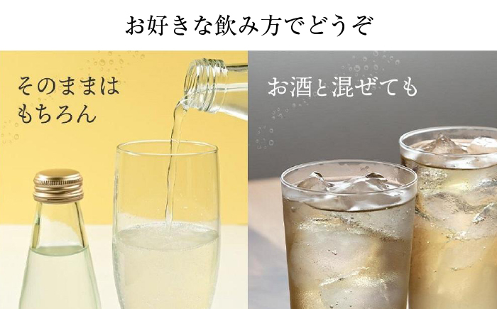 高知くらふと文旦サイダー 約195ml×6本セット 【株式会社 四国健商】 [ATAF028]