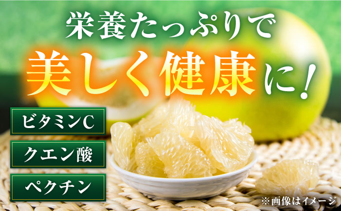 高知県産 水晶文旦 約3kg 6玉入 贈答用〈2026年9月下旬～11月上旬頃発送〉 /  高知 水晶 文旦 柑橘 果物 フルーツ くだもの 贈答 お中元 お歳暮 ギフト ぶんたん 【株式会社　四国健商】[ATAF032]