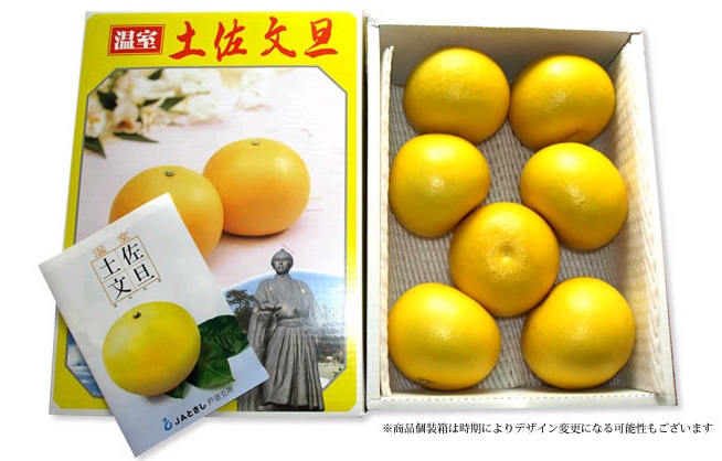 高知特産　温室（ハウス）土佐文旦　約3kg・6玉入〈2026年11月下旬～2027年1月上旬頃発送〉【株式会社四国健商】 [ATAF036]