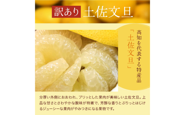 【先行予約】高知県産 訳あり 土佐文旦 約3kg 〈2026年2月～発送〉 / 傷 シミの訳アリ  大容量 ぶんたん 文旦 訳あり わけあり 果物 【株式会社　四国健商】 [ATAF151]