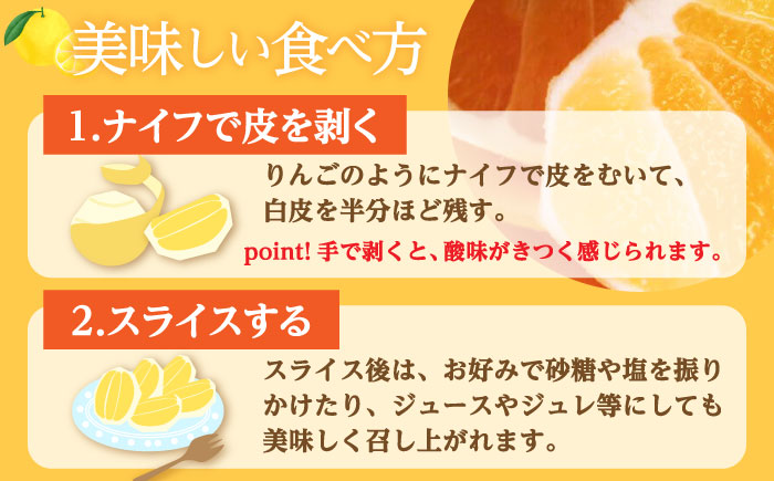 【先行予約】土佐小夏 約2.5kg 18個前後 Mサイズ〈2026年4月中旬～2026年7月中旬頃発送〉/ さわやかな甘さが絶品 ヒュウガナツ ニューサマーオレンジ フルーツ 果物 季節もの <2025年4月～発送>【フルーツショップオザキ】 [ATAH003]